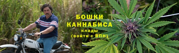 ГАЛЛЮЦИНОГЕННЫЕ ГРИБЫ Новокубанск