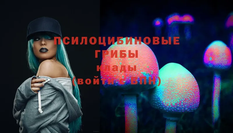 Галлюциногенные грибы Psilocybe  Заволжье 