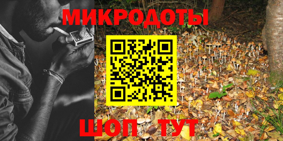 Галлюциногенные грибы мухоморы Заволжье