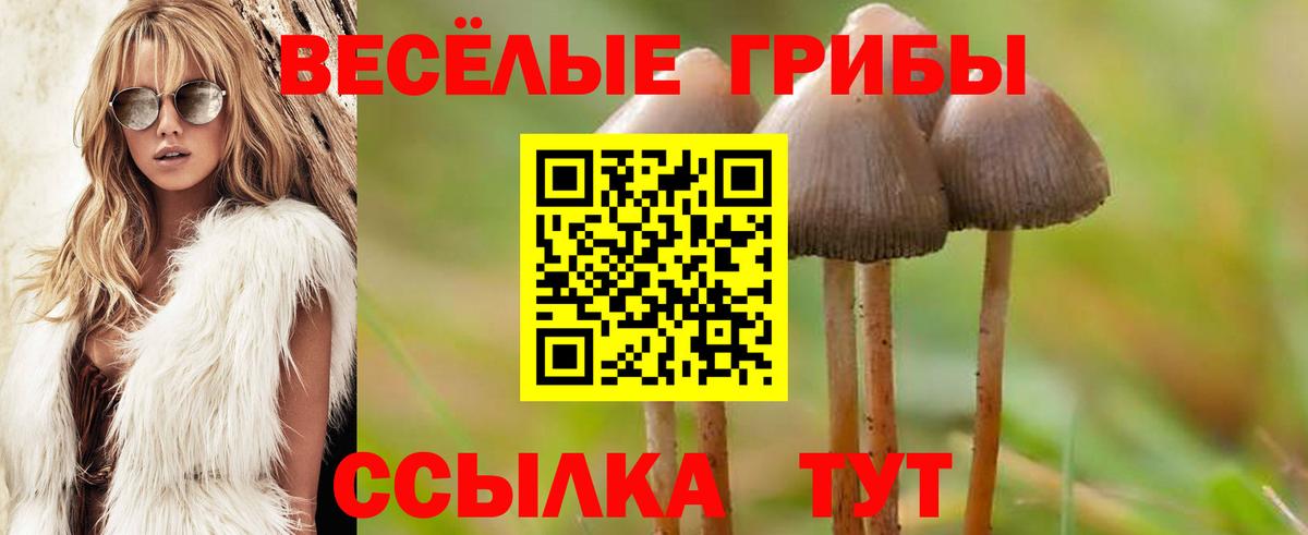 Псилоцибиновые грибы прущие грибы  Галлюциногенные грибы GOLDEN TEACHER  Заволжье 